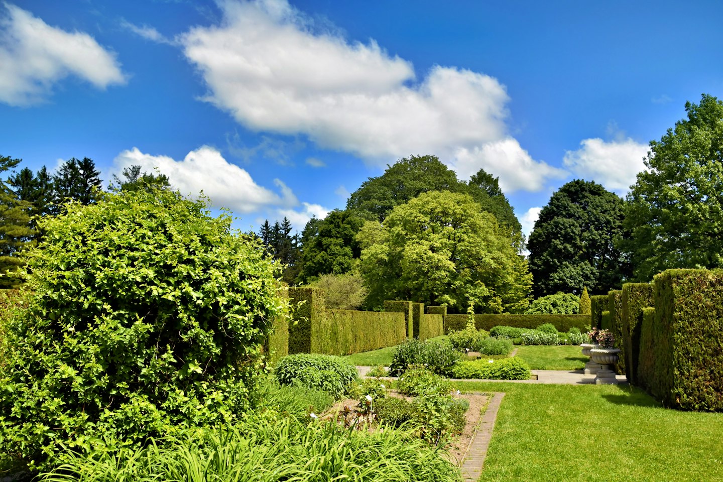 Geometric hedges and flower beds in a manicured garden.