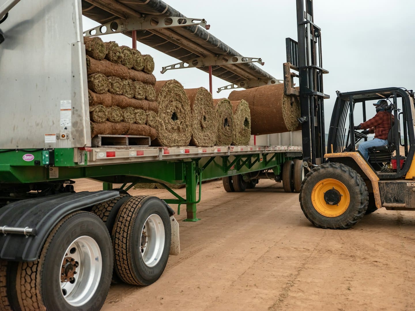 Worker in yellow forklift loads sod onto flatbed truck.